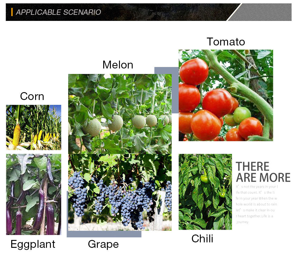 Tying Machine Plant Garden Plant Tapetool Tapener +10 Rolls Tape Set for Vegetable Grape Tomato Cucumber Pepper Flower